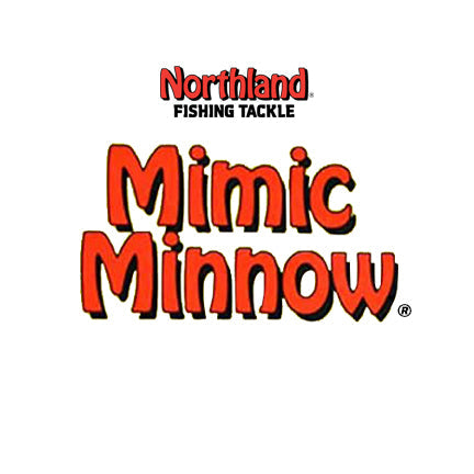 2 Esche Swimbait Northland Mimic Minnow Fry FIRETIGER, 3 1/2 Pollici, 1/4 Oz - Foto 3