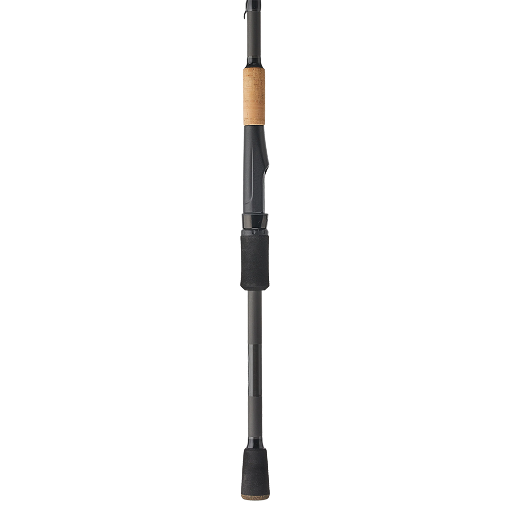 Bass X Spinning Rod