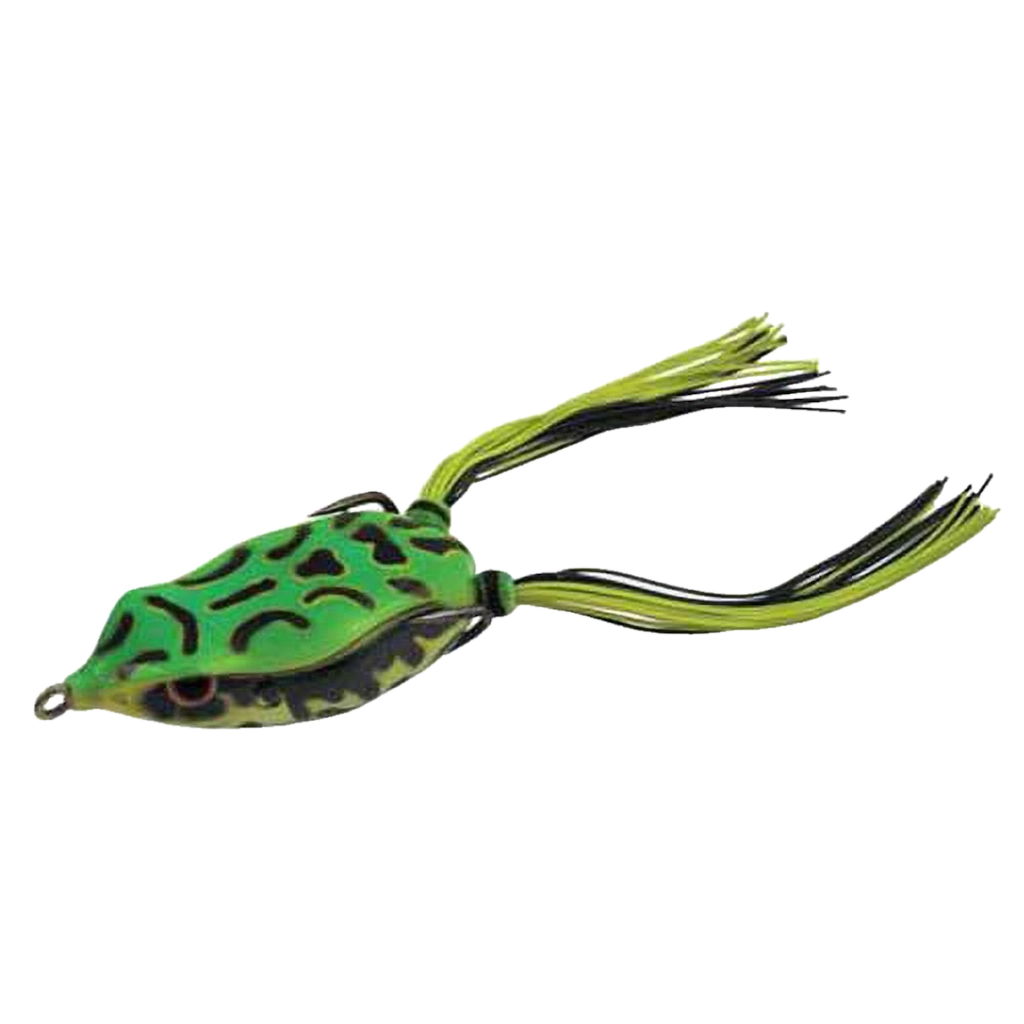 BRONZEYE FROG JR