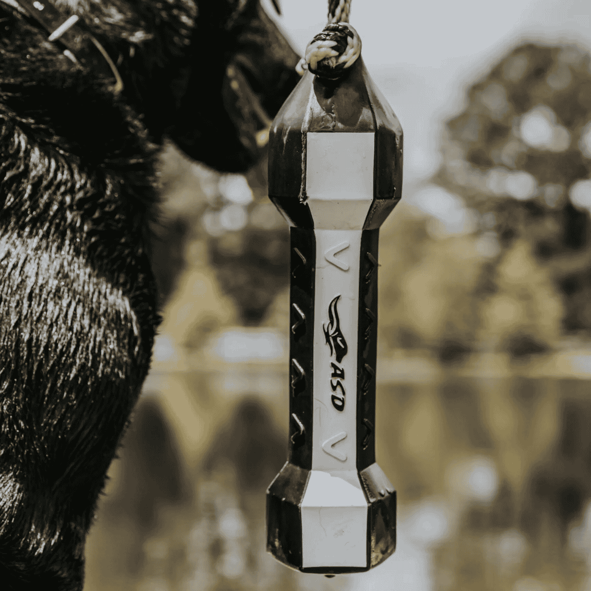 ASD SPORT PERFECTHOLD HEXABUMPER VGRIPS - DOG TRAINER - LIFESTYLE IMAGE - 1