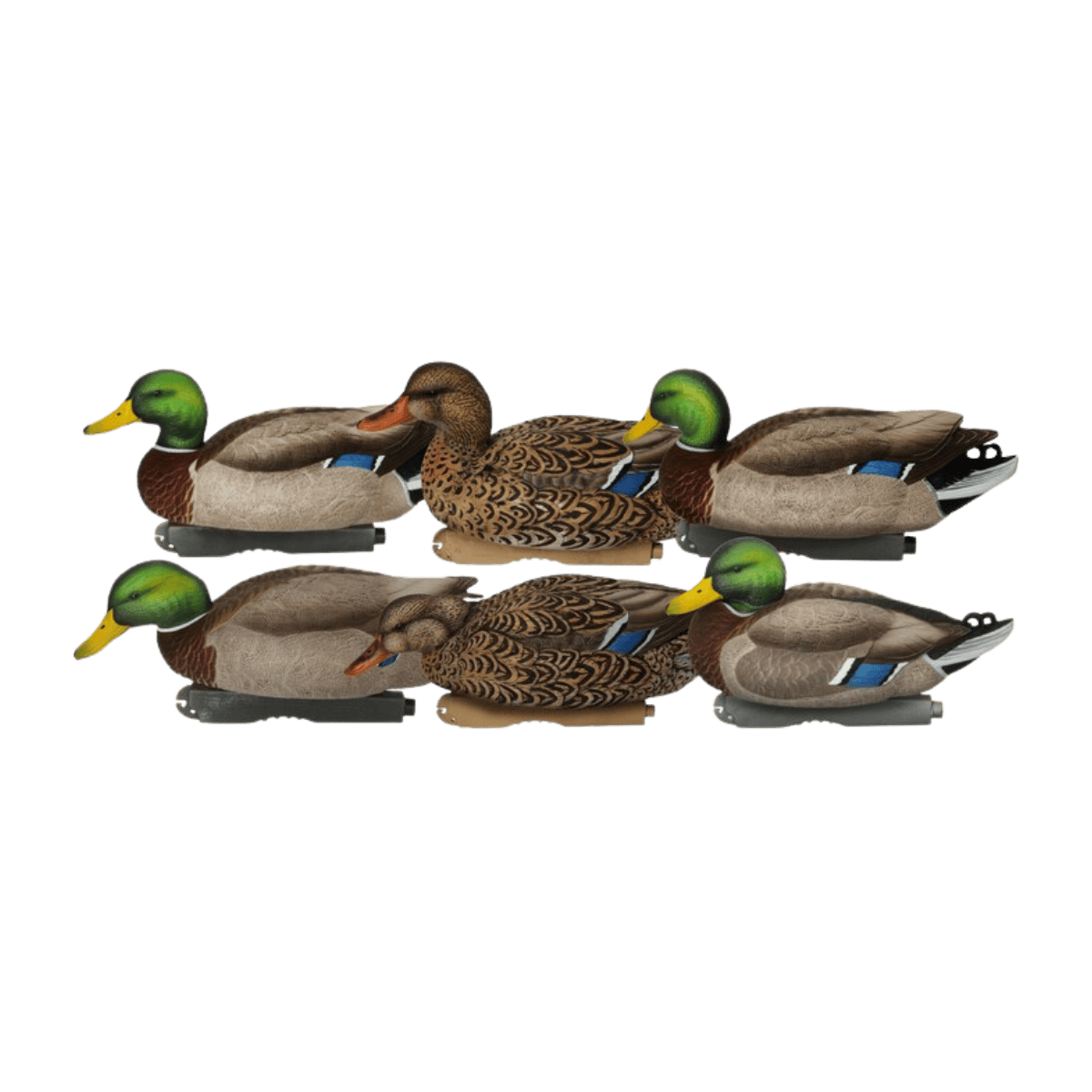 AVERY PG XD MALLARDS 6PK - MULTI COLORS