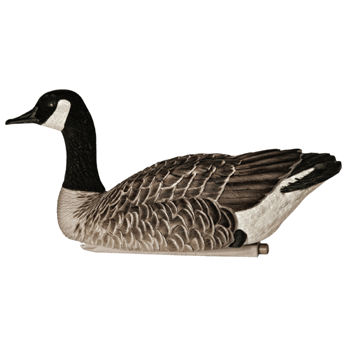 AVIAN X TOP FLIGHT HONKER FLOATERS