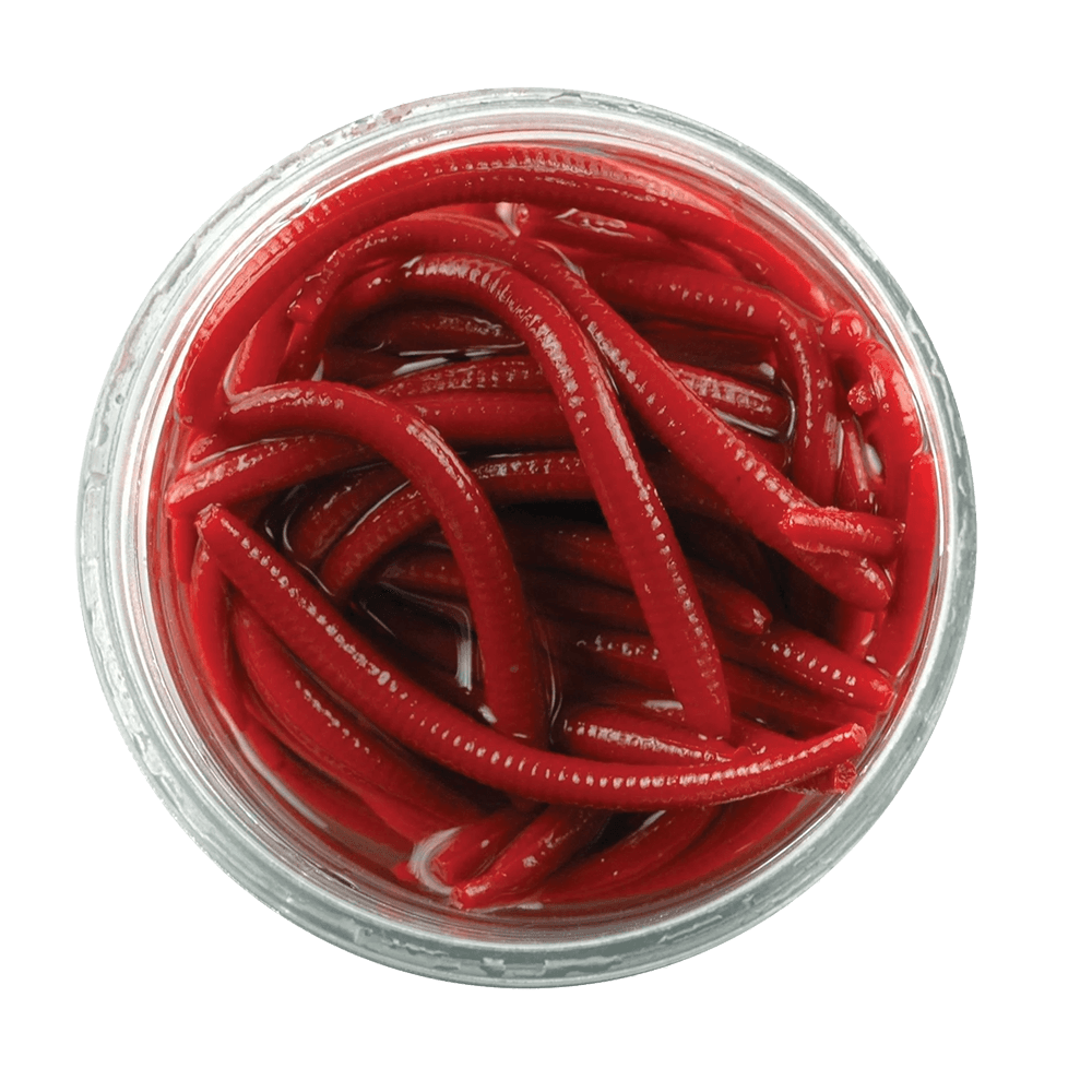 BERKLEY GULP ALIVE ANGLE WORM FISHING LURE 1 IN RED WORM - 2.1OZ JAR looking down in Jar