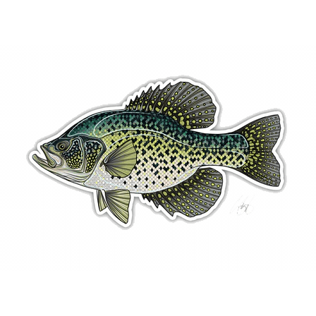FISH DECALS BLACK CRAPPIE