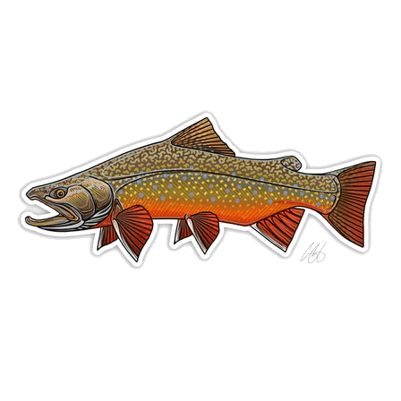 FISH DECALS BROOK TROUT