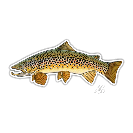 FISH DECALS BROWN TROUT