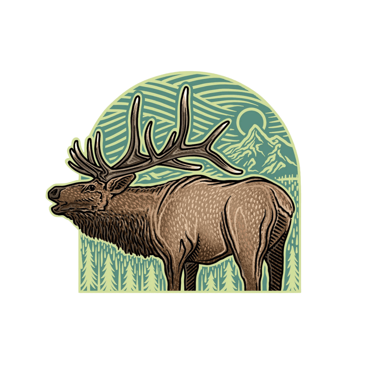 CASEY UNDERWOOD BIG GAME SERIES - ELK ARCH