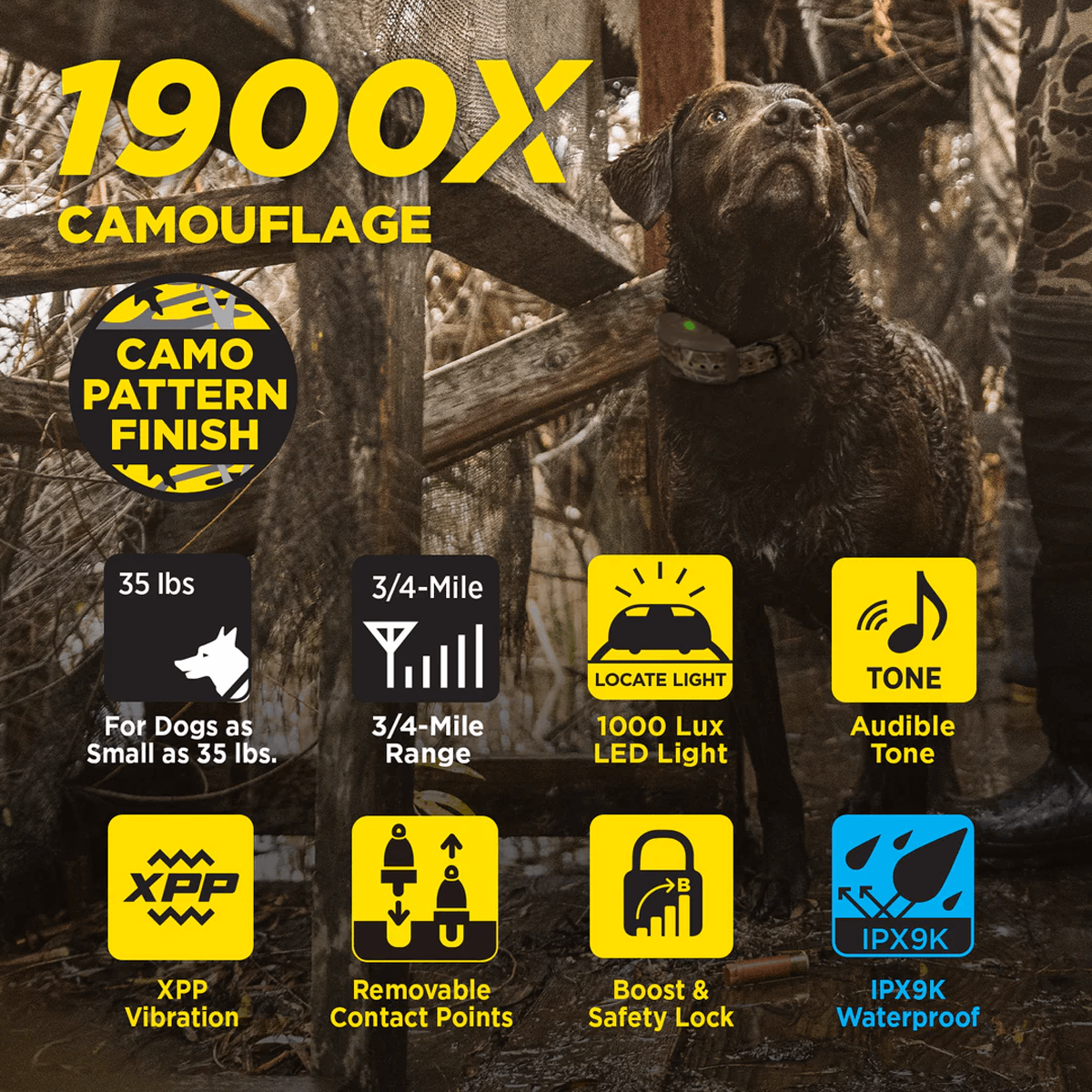 A promotional image for the Dogtra 1900X Camouflage remote training collar. The image shows a black Labrador retriever wearing the camo-pattern collar in a field setting. Key features are displayed with icons and text: suitable for dogs as small as 35 lbs, 3/4-mile range, 1000 Lux LED locate light, audible tone, XPP vibration, removable contact points, boost and safety lock, and IPX9K waterproof rating. A "Camo Pattern Finish" badge is also shown.