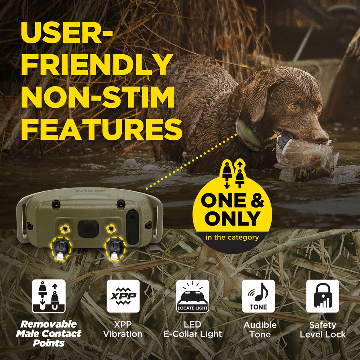 the Dogtra 1900X Camouflage dog training collar, showing a wet black lab wearing the collar in a wooded hunting environment. Key features listed include: camo pattern finish, suitable for dogs 35 lbs and up, 3/4-mile range, 1000 Lux LED locate light, audible tone, XPP vibration, removable contact points, boost & safety lock, and IPX9K waterproof rating.