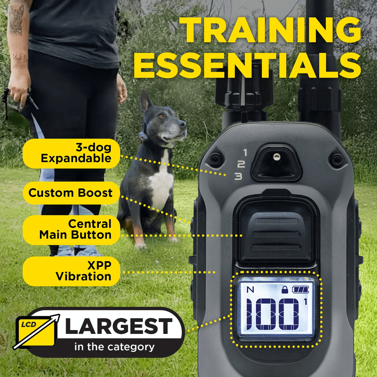 Dog training device with features highlighted and a dog in the background