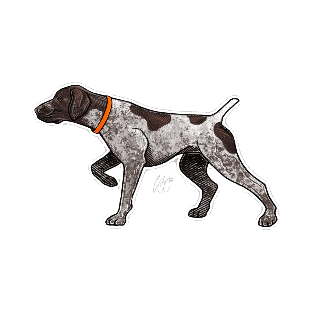 German_Shorthaired_Pointer_Decal