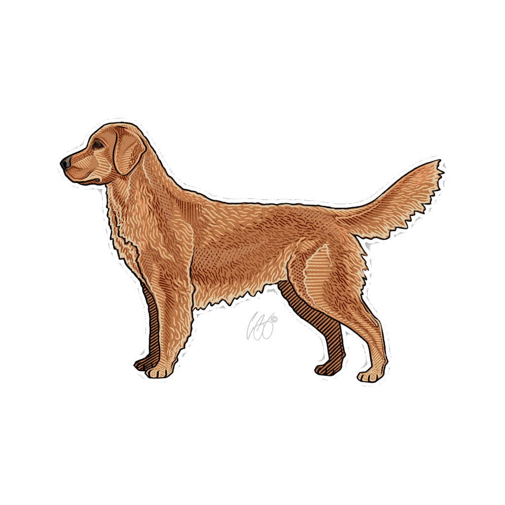 Golden_Retriever_Decal