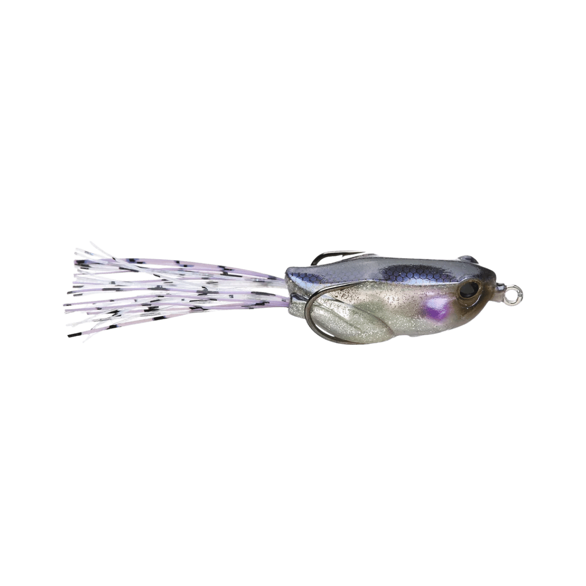 JACKALL KAERA TOPWATER FROG 1/2OZ GLITTER HASU
