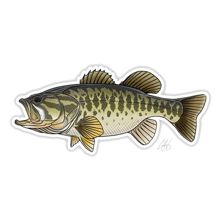 FISH DECALS LARGEMOUTH BASS