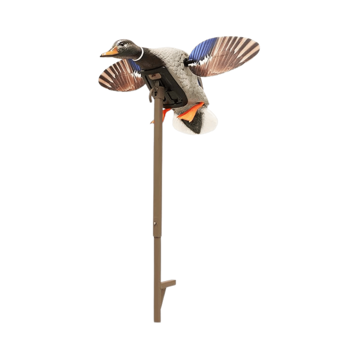 MOJO OUTDOORS MINI MALLARD DRAKE