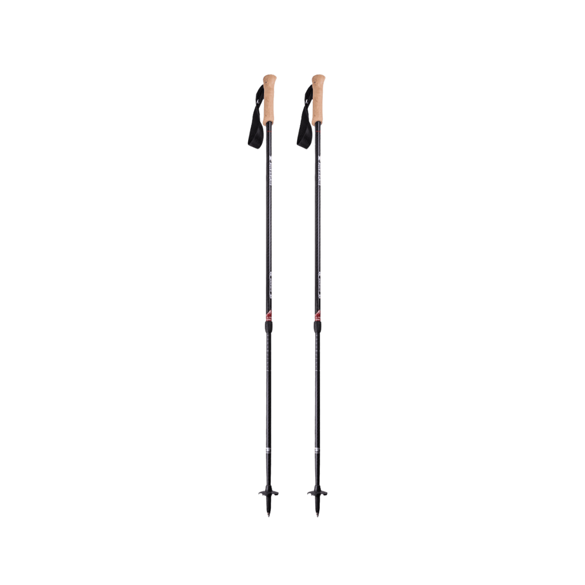 MOUNTAINSMITH ANDESITE TREKKING POLES - CARBON
