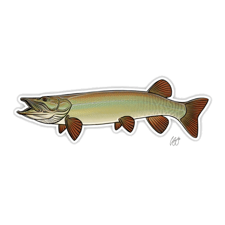 FISH DECALS MUSKIE