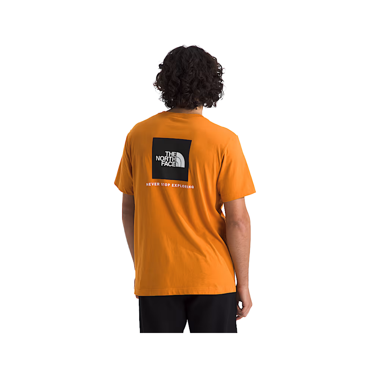 NORTH FACE EVOLUTION BOX REG S/S TEE BKAC VIEW