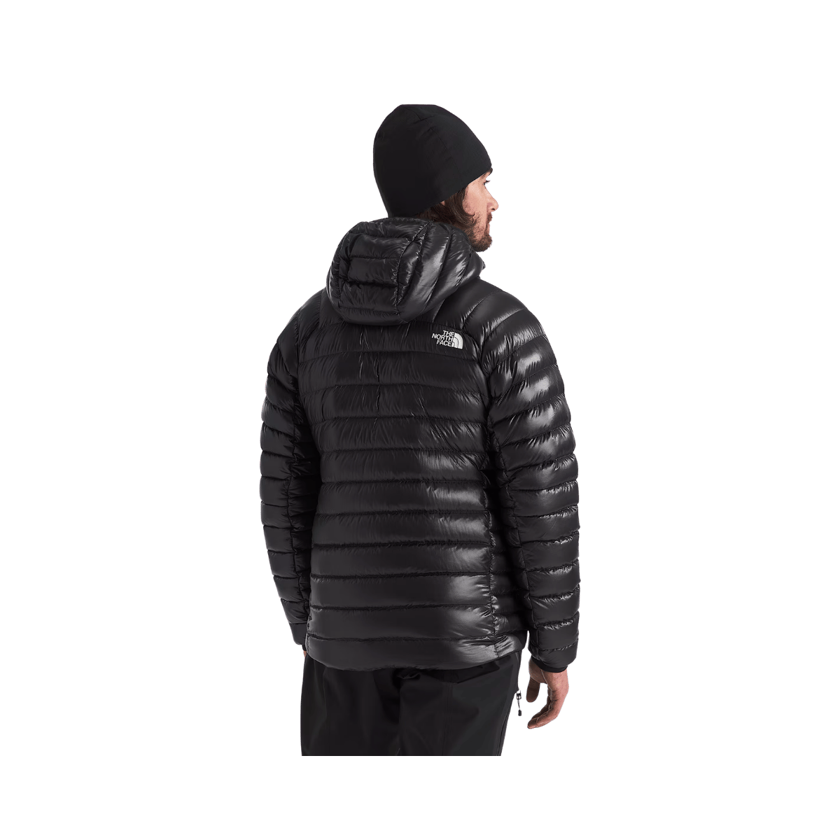 NORTH FACE SUMMIT BREITHORN HOODIE BACK