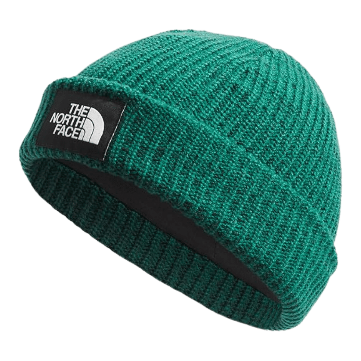 THE NORTHFACE SALTY LINED BEANIE - EVERGREEN - OS-REG