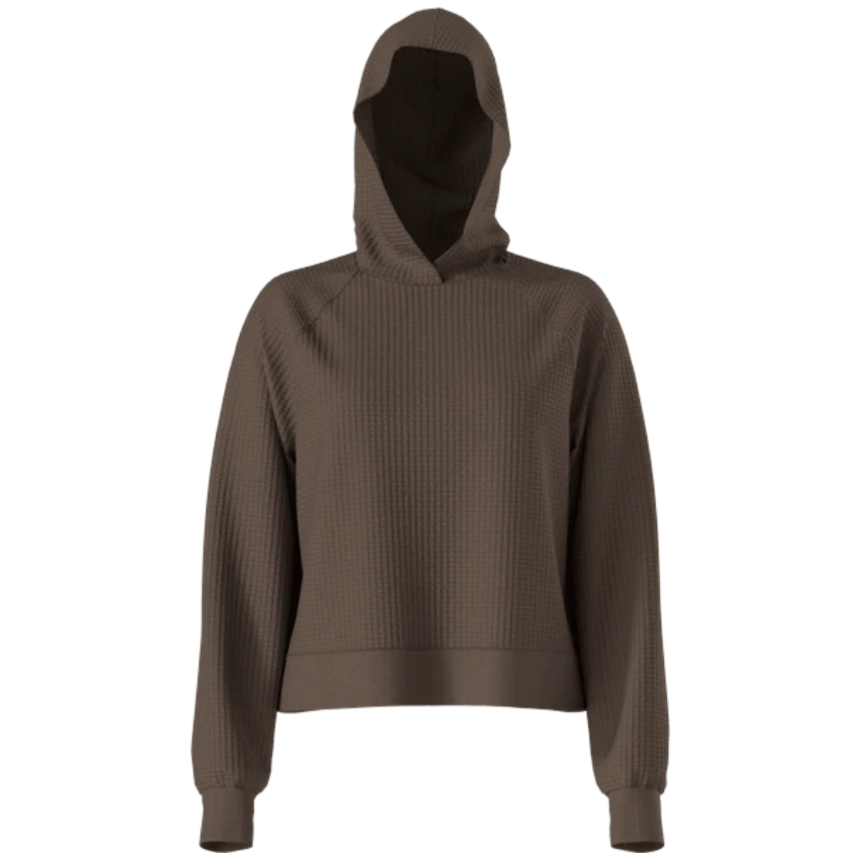 NORTHFACE WOMEN'S CHABOT HOODIE - SMOKEY BROWN FRONT