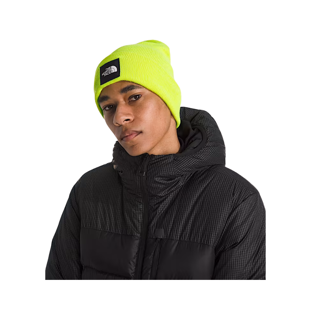NORTHFACE_BIG_BOX_CUFFED_BEANIE_FIZZ_LIME_BACK