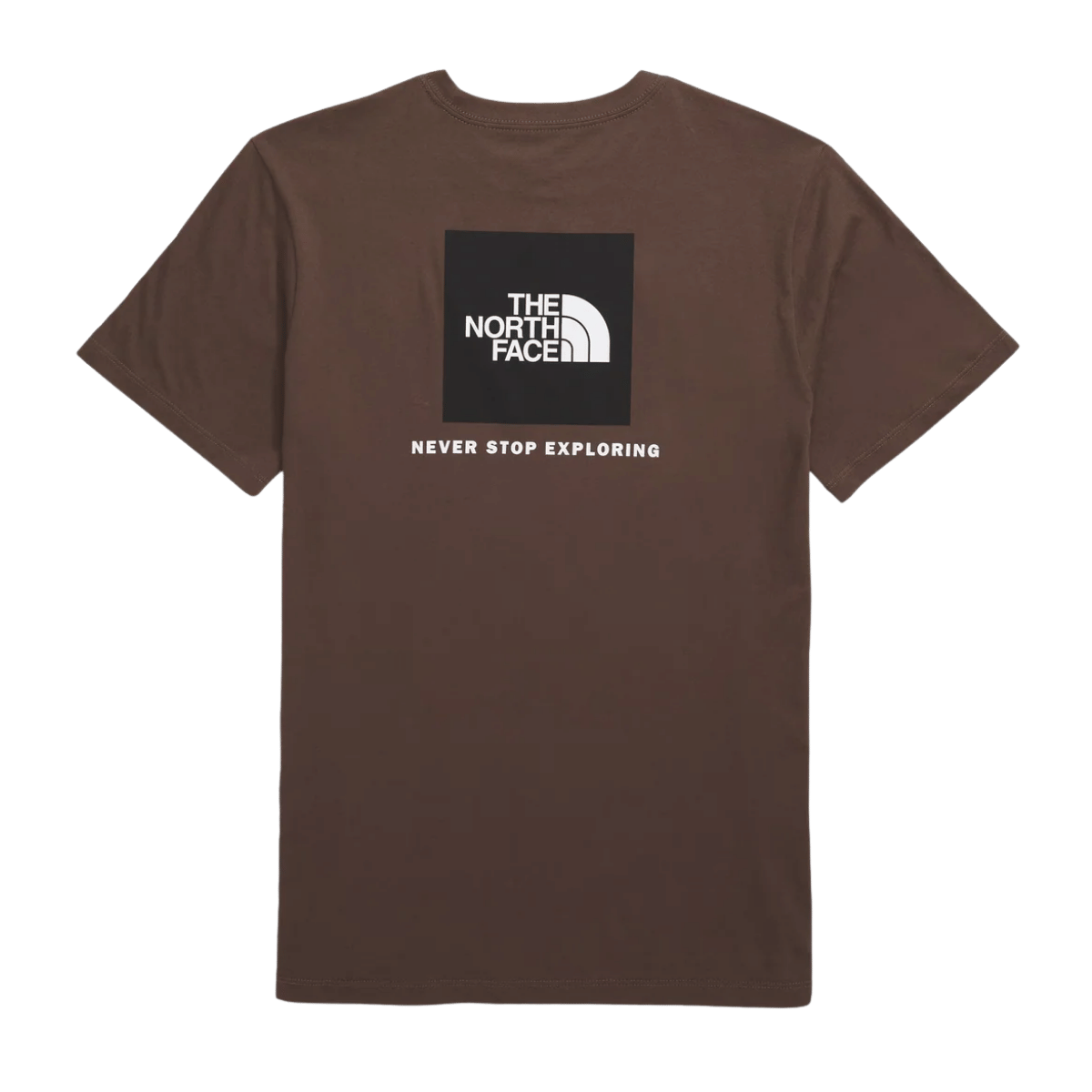 NORTHFACE CORE BOX NSE SHORTSLEEVE TEE - SMOKEY BROWN BACK