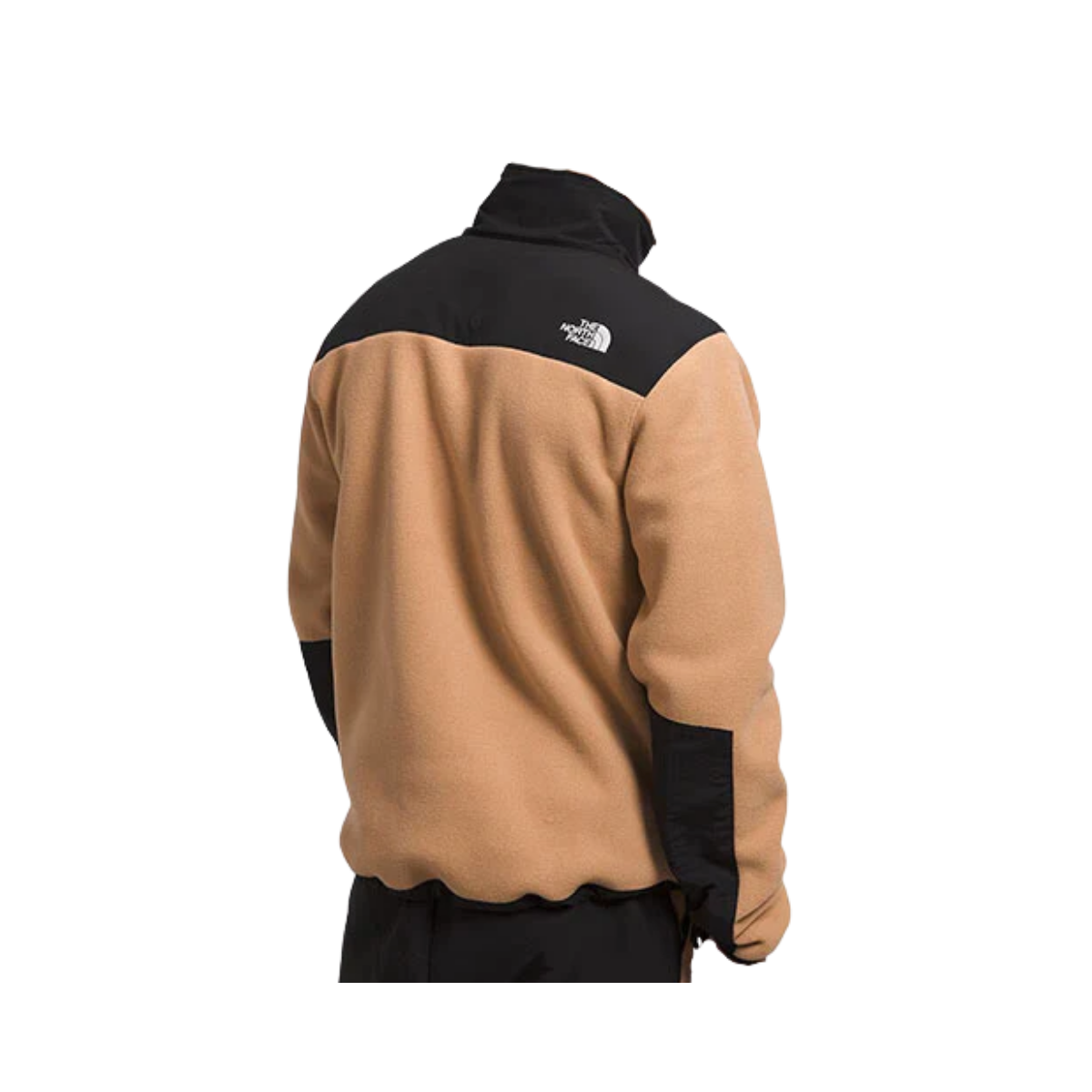 NORTHFACE_DENALI_POLARTEC_JACKET_BACK