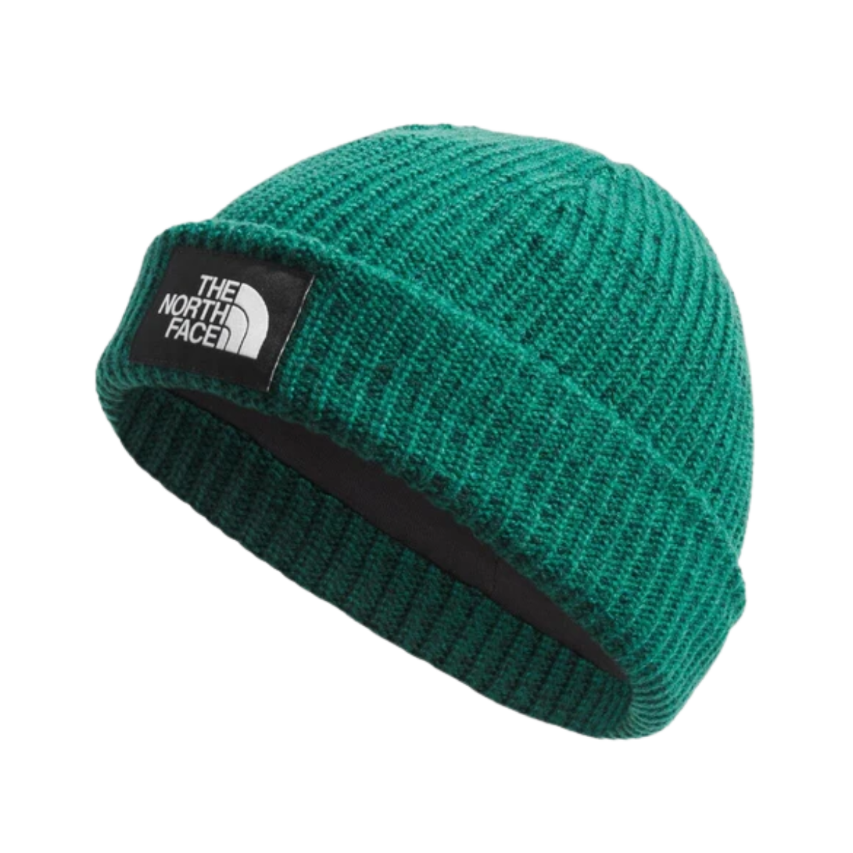 NORTHFACE_SALTY_LINED_CLASSIC_BEANIE_EVERGREEN_FRONT