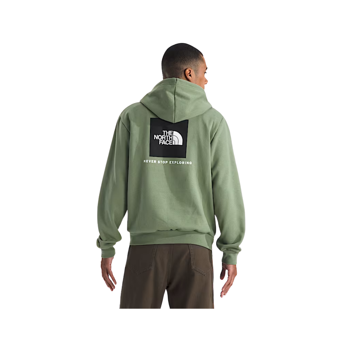 NORTH_FACE_EVOLUTION_BOX_NSE_REGULAR_FIT_HOODIE_BACK