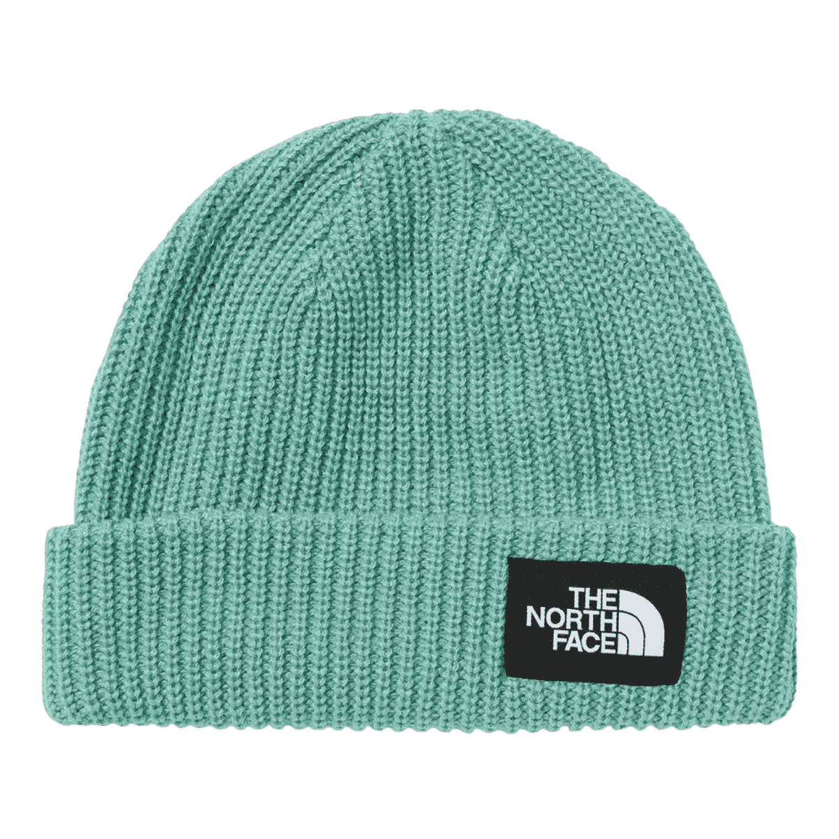 THE NORTH FACESALTY DOG BEANIE - ONE SIZE - WASABI