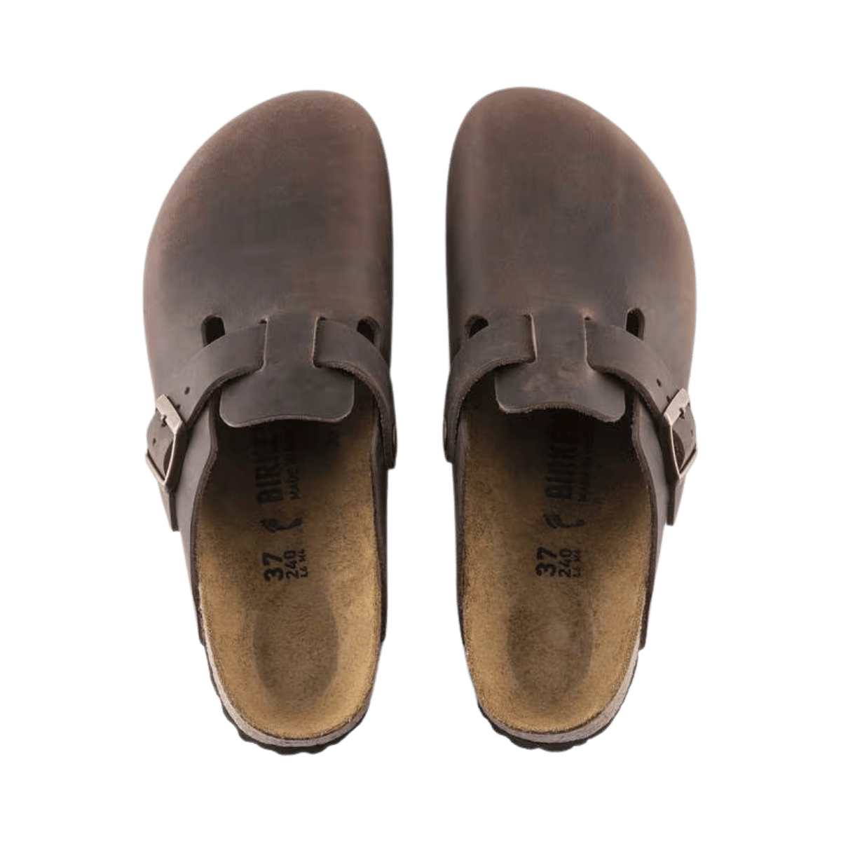 BIRKENSTOCK MEN'S BOSTON NU OILED CLOG - REGULAR - HABANA