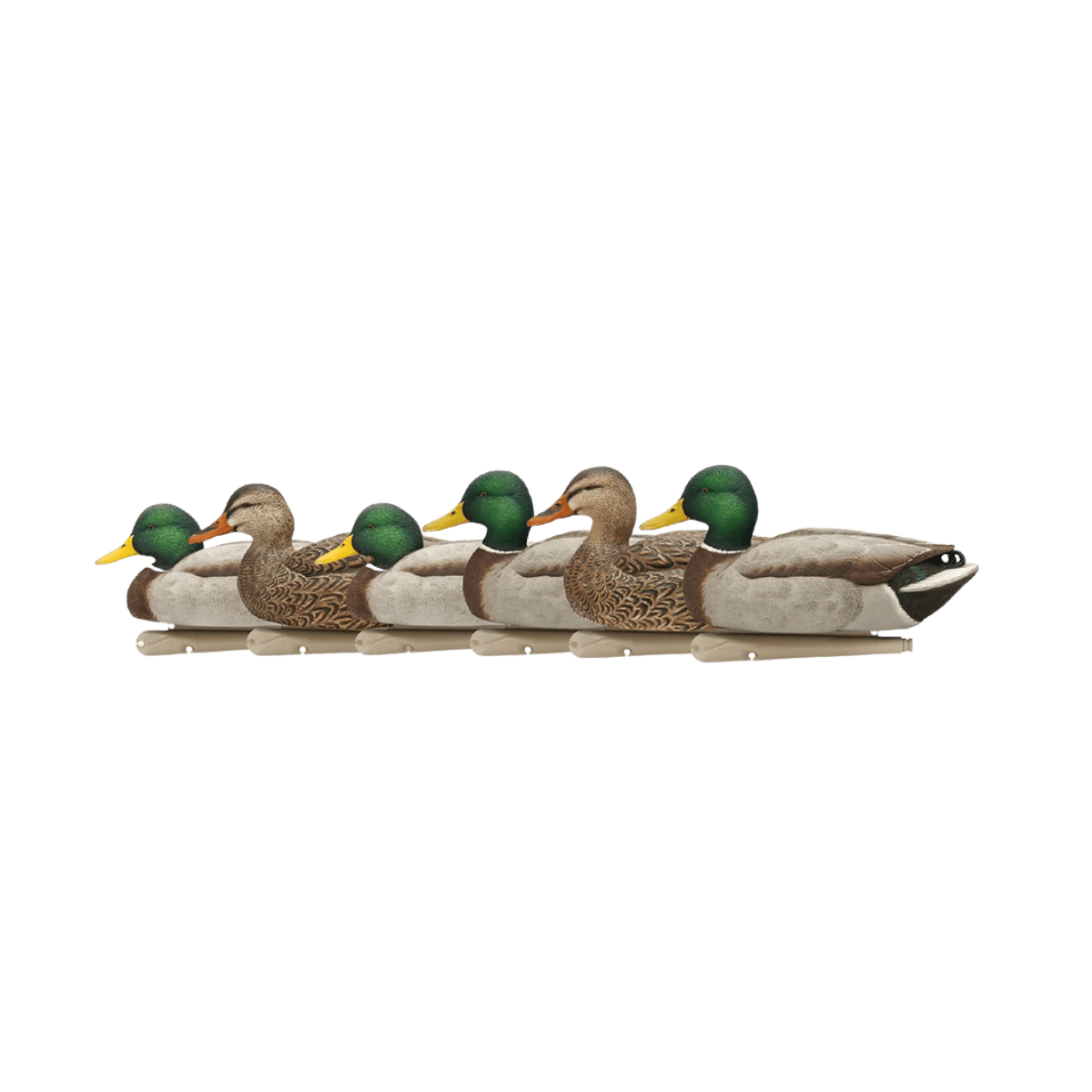 AVIAN X TOP FLIGHT OPEN WATER MALLARDS