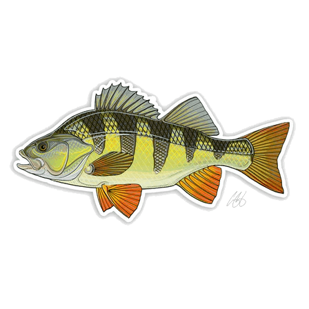 FISH DECALS PERCH
