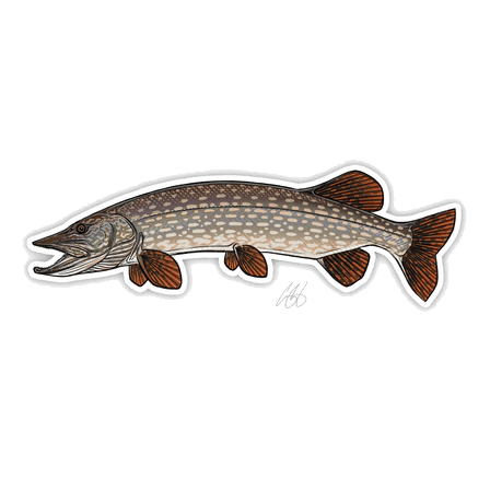 FISH DECALS PIKE