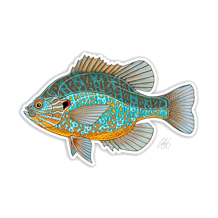 FISH DECALS PUMPKINSEED