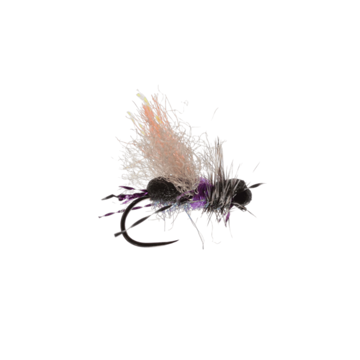 RAINY`S MASON'S BANT FM BLACK PURPLE