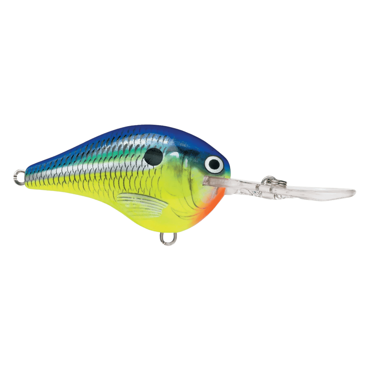 RAPALA DT10 SERIES CRANKBAITS - PARROT FRONT