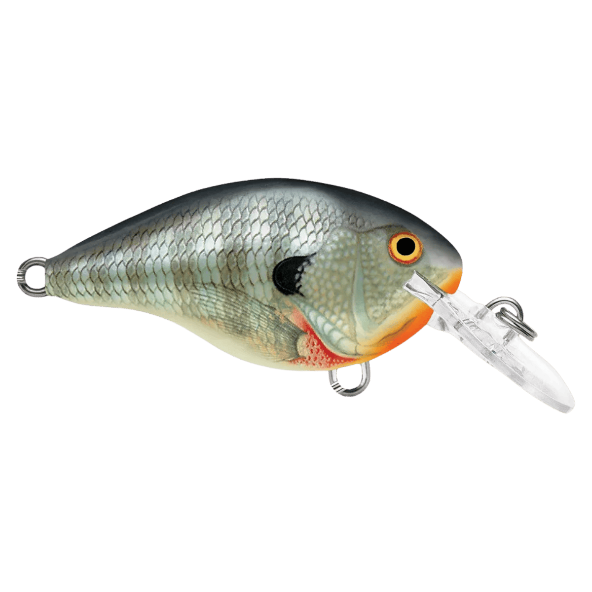 RAPALA DT4 SERIES CRACKBAITS - BLUEGILL FRONT