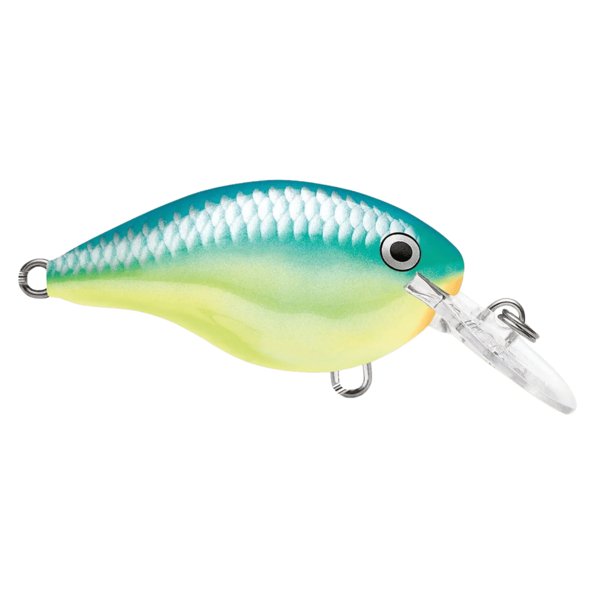 RAPALA DT4 SERIES CRANKBAITS - CARIBBEAN SHAD FRONT