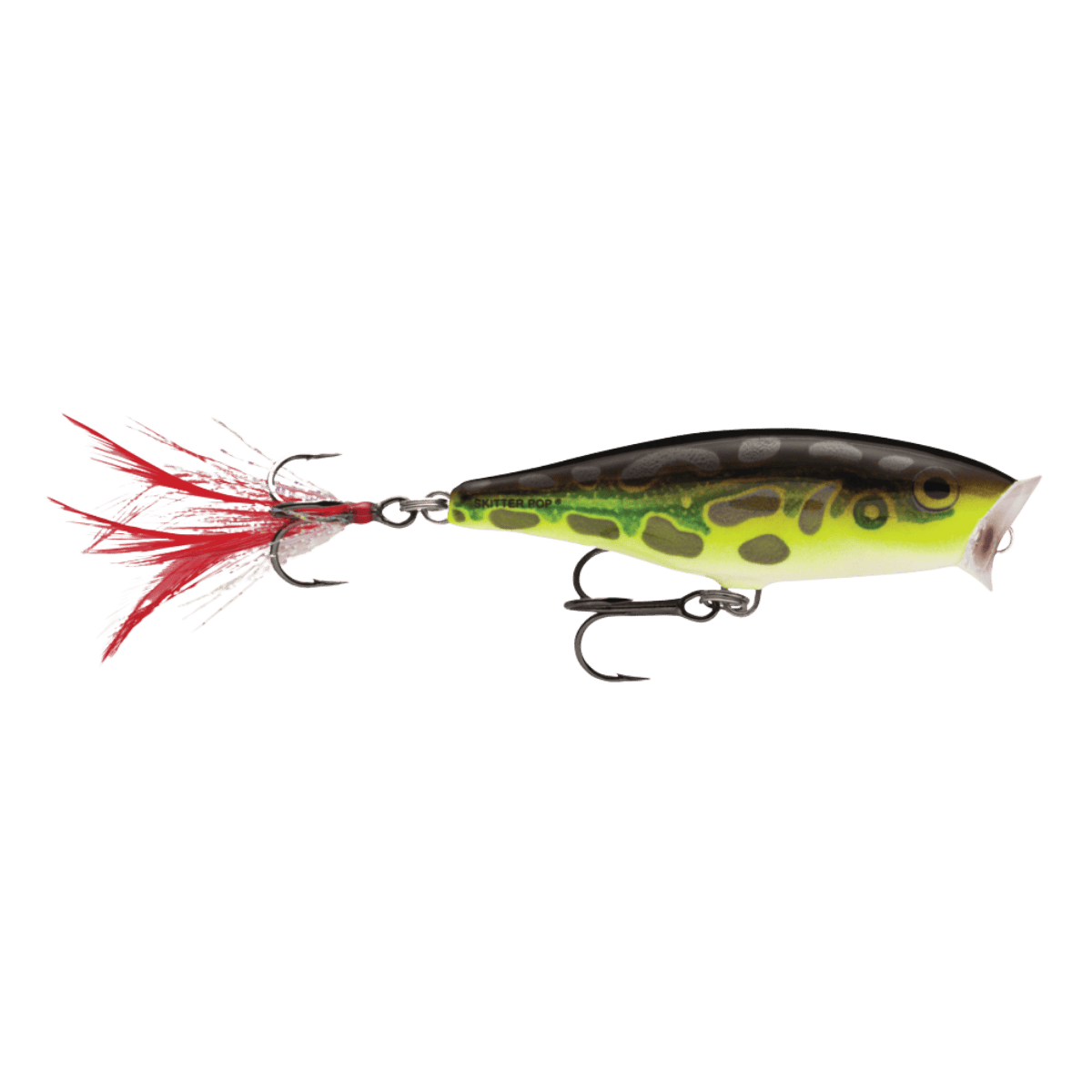RAPALA SKITTER POP 05 - LIME FROG FRONT
