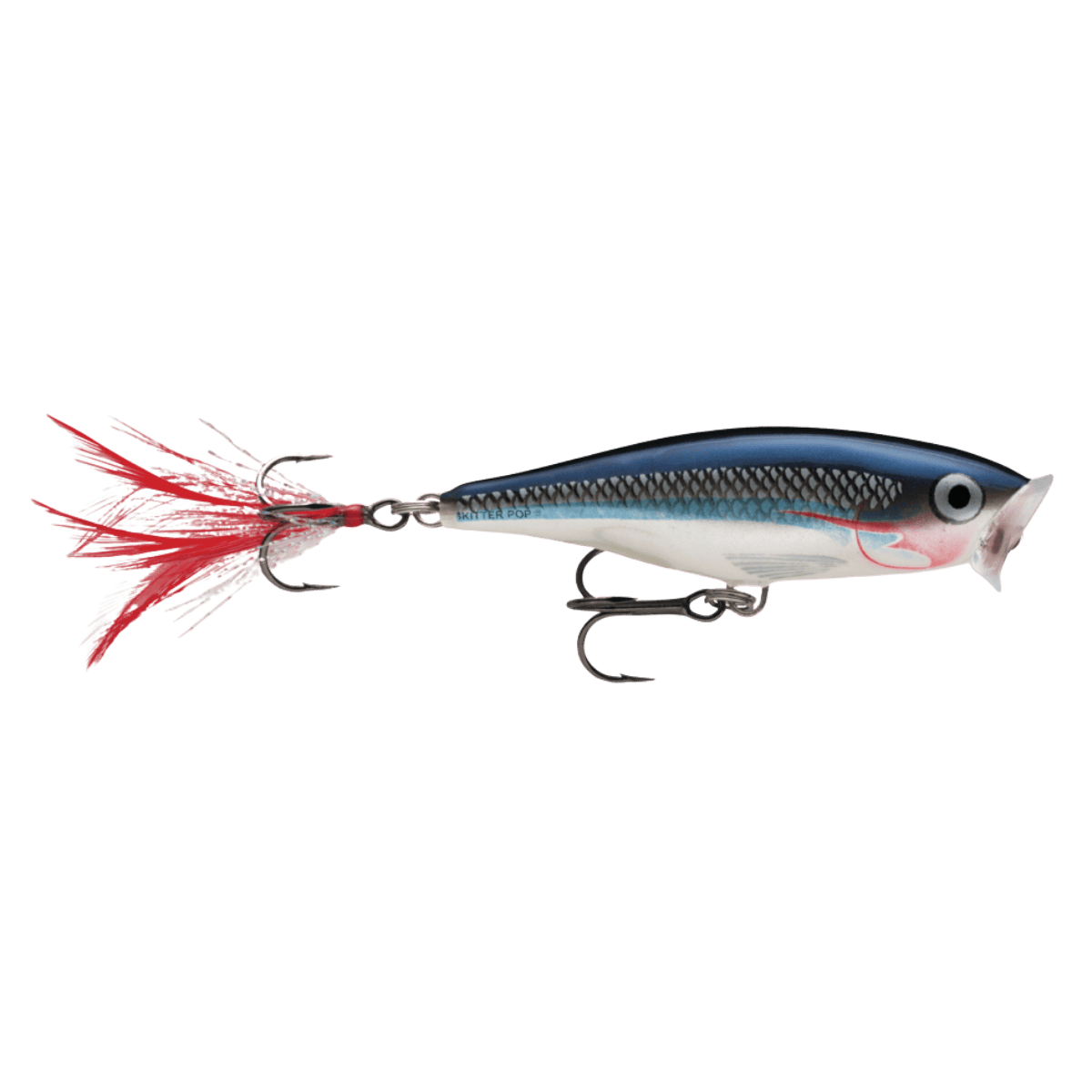 RAPALA SKITTER POP 05 - SHAD FRONT