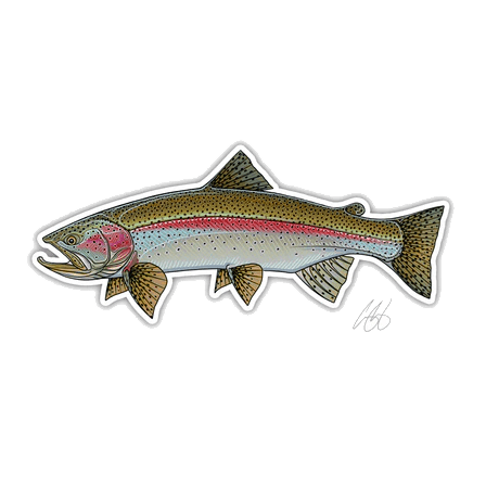 FISH DECALS RAINBOW TROUT