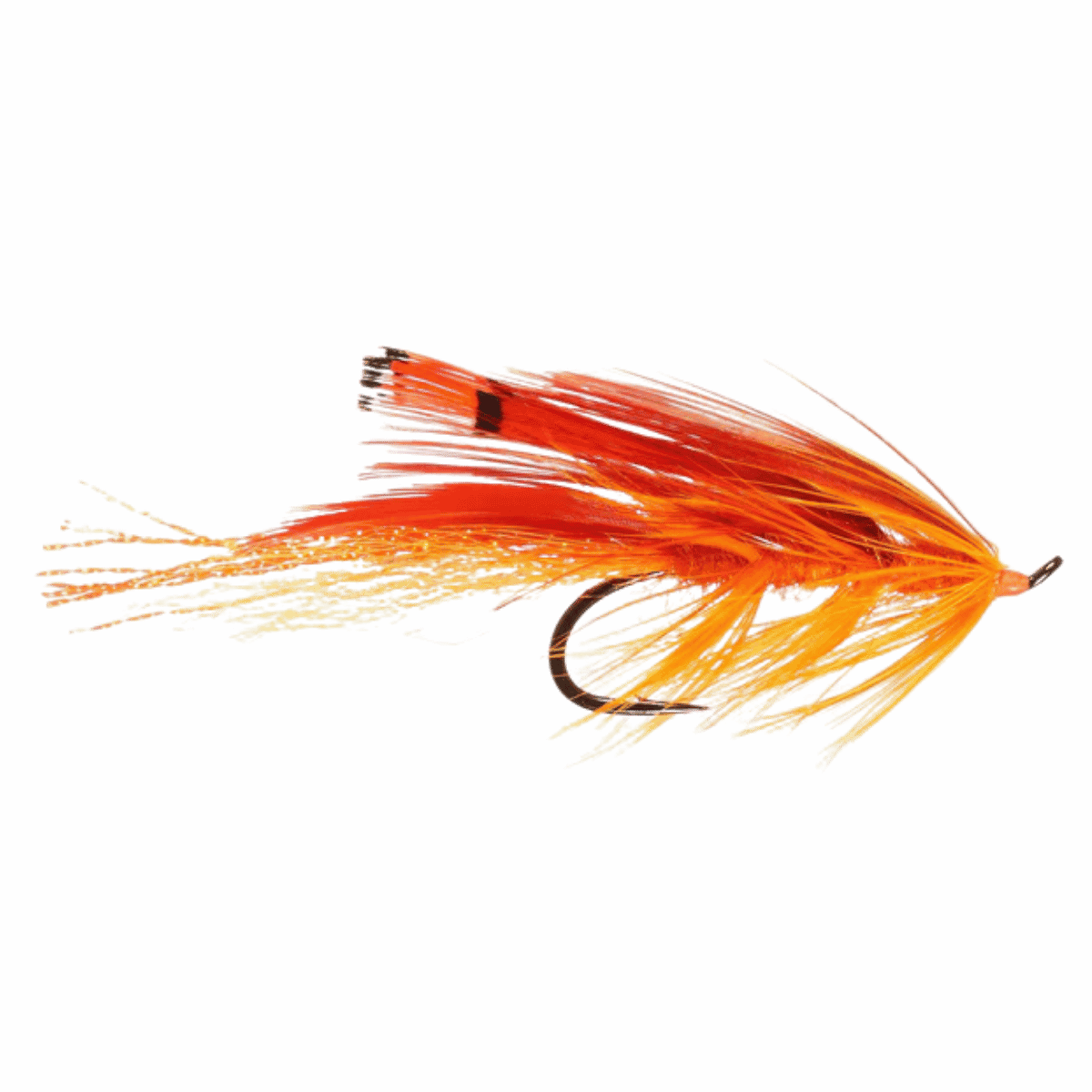 RAINY`S GENERAL PRACTITIONER ORANGE SIZE 2