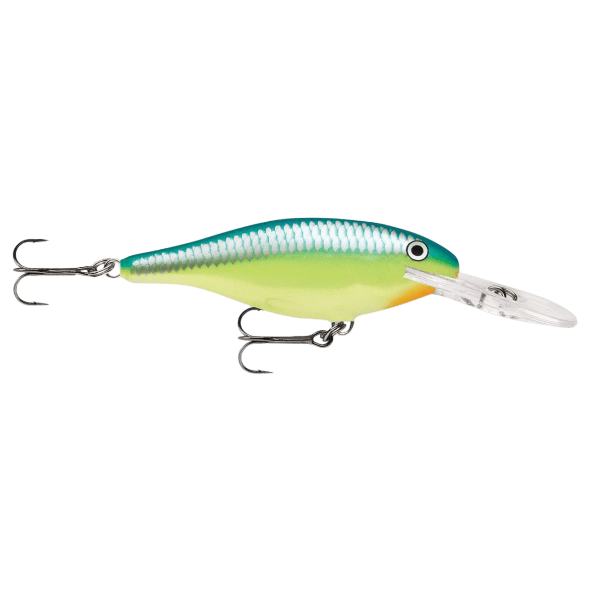 RAPALA SHAD RAP 3-1/8 INCH CARIBBEAN SHAD CRANKBAIT