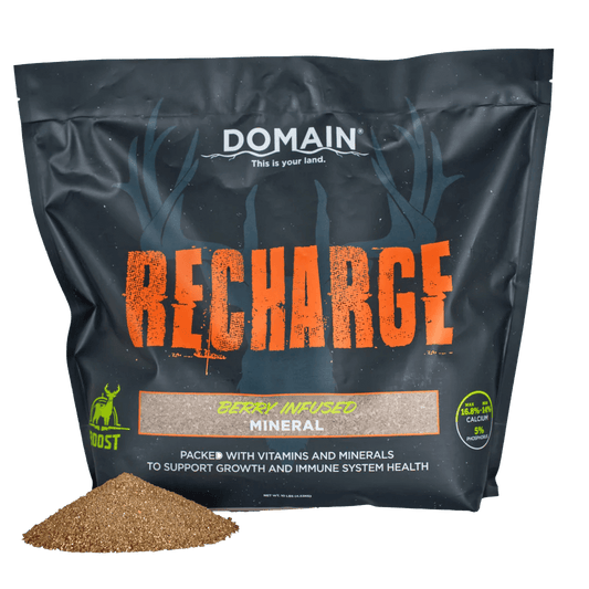 RECHARGE MINERAL 10LB BAG