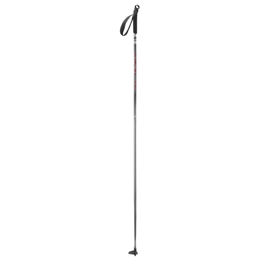 SALOMON ESCAPE NORDIC POLES 2022