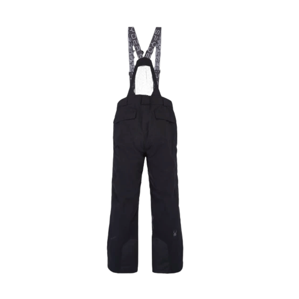SPYDER SENTINEL GTX PANTS - BLACK EBONY_1