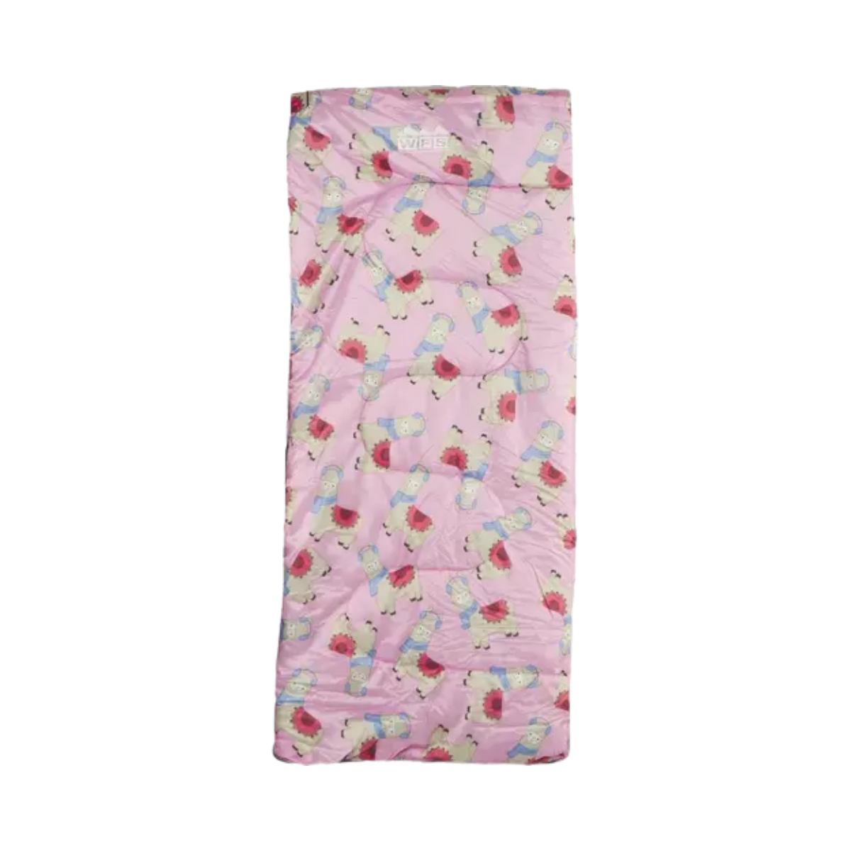 WORLD FAMOUS YOUTH CAMP SLEEPING BAG PURPLE