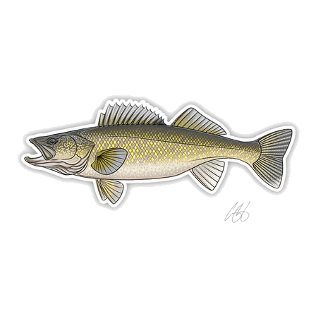 FISH DECALS WALLEYE
